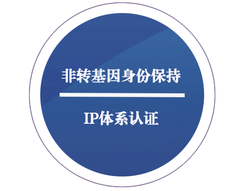 非轉基因身份保持 IP 體系認證